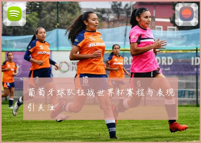 葡萄牙球队征战世界杯赛程与表现引关注