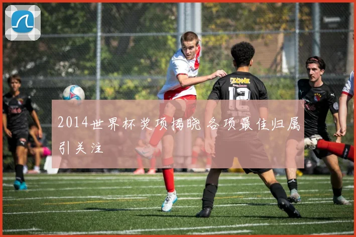 2014世界杯奖项揭晓 各项最佳归属引关注