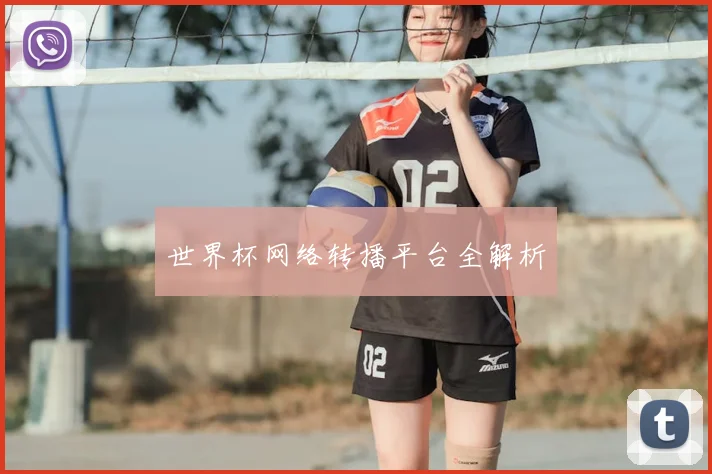 世界杯网络转播平台全解析