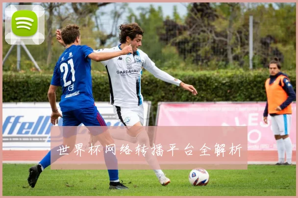 世界杯网络转播平台全解析