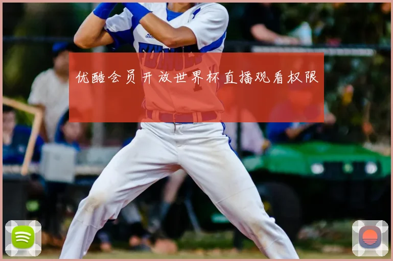 优酷会员开放世界杯直播观看权限
